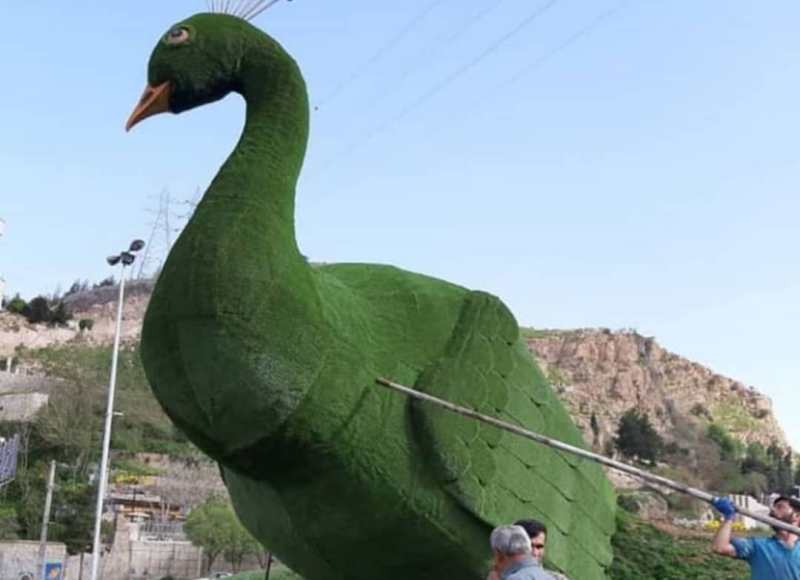 طاووس دروازه قرآن شیراز